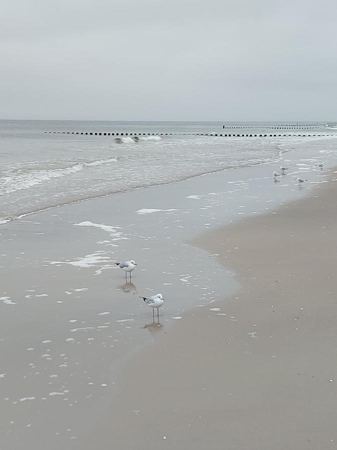 Achterwasser Blick Uckeritz Eksteriør bilde